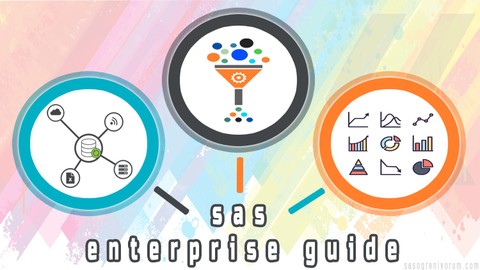 SAS Enterprise Guide (Türkçe)